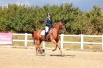 SBM_011833