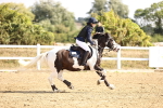 SBM_006261