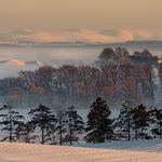 Winters Light