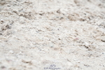 250615A-141030-11371