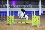 SBM_001960
