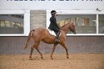 SBM_003009