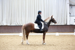 SBM_000209