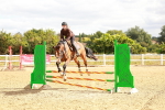 SBM_004847