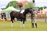 SBM_02541