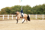 SBM_001741