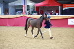 SBM_03012
