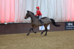 SBM_005040
