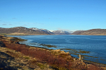 Westfjords, Iceland
