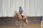 SBM_001291