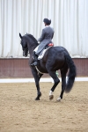 SBM_009524