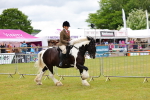 SBM_02621
