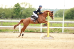 SBM_009464