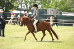 SBM_07696