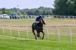 150726-Race 3-Lady Dublin-3180