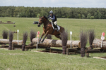 BVHT 140517  IXC -501