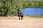 WJ6_6749