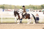 SBM_04270