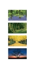 Seasons Colours EDC148
