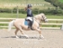 BPP_1468