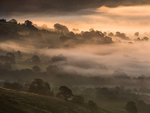 Hope Valley Mist