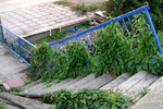 Shoreham Houseboats - 04