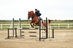 SBM_006305