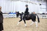 SBM_6586
