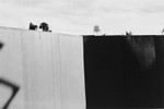 Tampa, Florida 1976