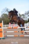 Cls 5 Foxhunter & 1.20m Open portfolio