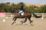 SBM_022564