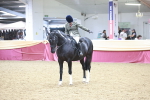 Class 12R - Regional Ridden Pre-Vet portfolio