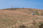 Black Combe-854
