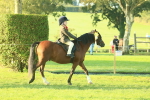SBM_56778