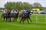 Race 1 2.30pm Racing Welfare Reminiscence Day Apprentice Handicap portfolio