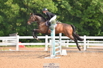 Cls 21 British Novice & Open portfolio