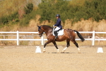 SBM_017948