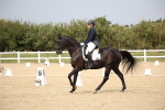 SBM_020420