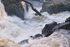 Dolanog Waterfall_6529
