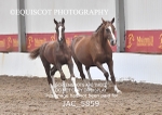 JAC_5859