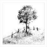 TREES WEEK #29