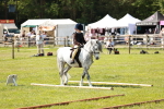 SBM_12776