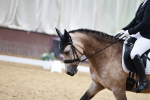 SBM_013264