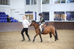 SBM_000193