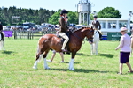 SBM_15287