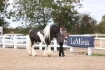 SBM_14498