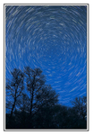 Startrail tree line