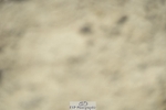 230909-104914-04955