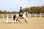SBM_009094