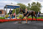 280726-Race 2-Head Girl-1898